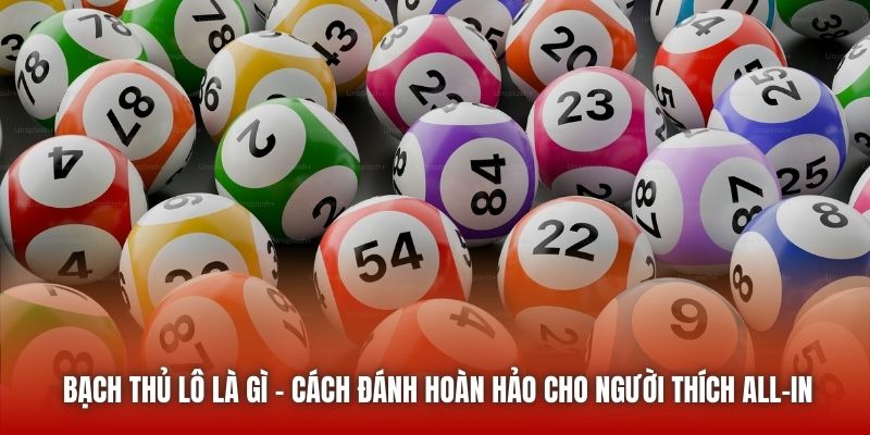 Bạch thủ lô là gì - Cách đánh hoàn hảo cho người thích all-in