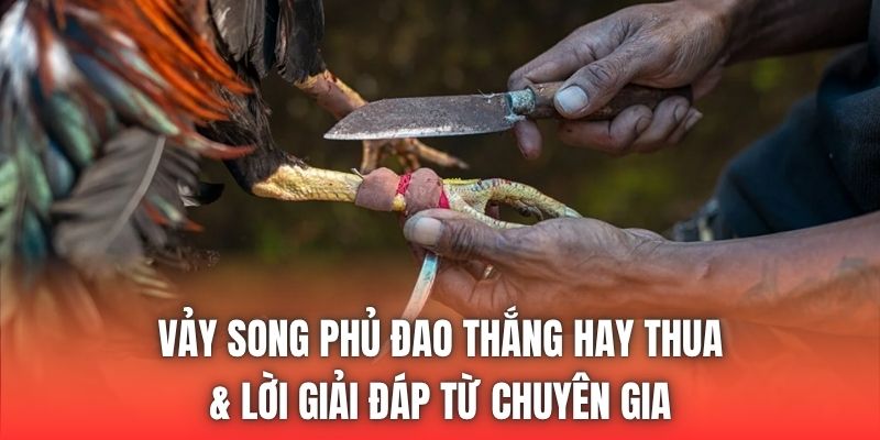 Vảy Song Phủ Đao Thắng Hay Thua & Lời Giải Đáp Từ Chuyên Gia